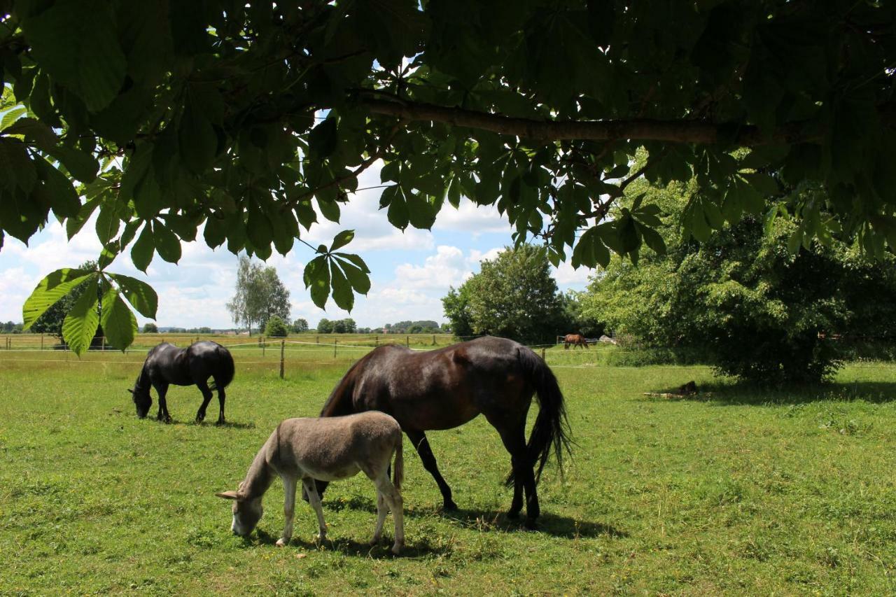 Spring-Hof Apartman Oberostendorf Kültér fotó